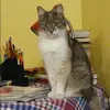 Отзыв от Яна Казакова
